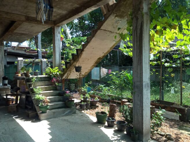 HOUSE FOR SALE IN HABARAKADA SRI SEELALANKARA MAWATHA For Sale
