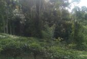 Land For Sale In Balangoda