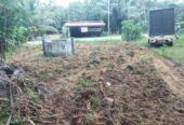Land For Sale In Ingiriya