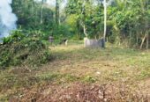 Land For Sale In Ingiriya