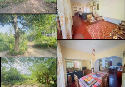 Land With House For Sale In Kandy