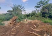 Land With House For Sale In Kandy