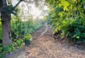 Land With House For Sale In Kandy