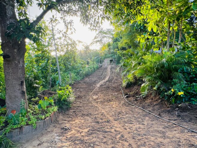 Land With House For Sale In Kandy