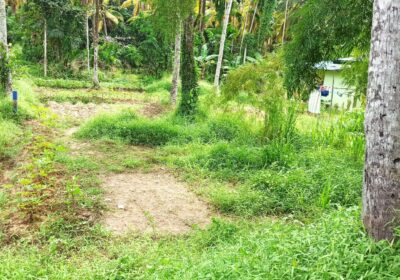Land For Sale In Thihariya