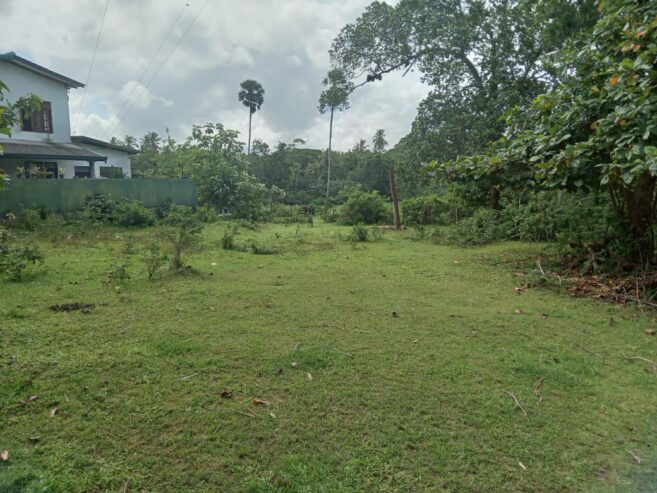 Land For Sale In Beliatta