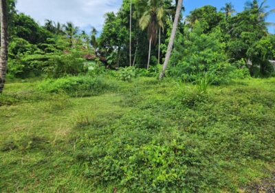 Ja Ela Bopitiya 8 Perch Land for Sale