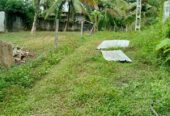 Land for Sale in Meegoda