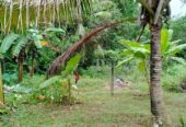 Land for Sale in Meegoda