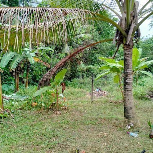 Land for Sale in Meegoda