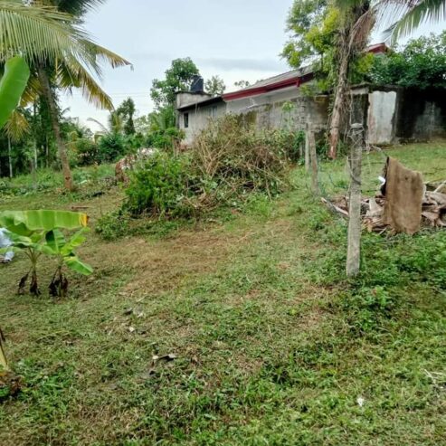 Land for Sale in Meegoda
