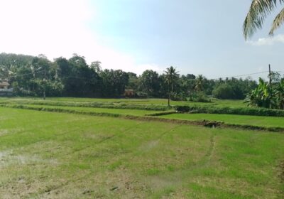 House for Sale Horana