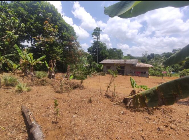 32-Perch Land for Sale in Kahahena, Hanwella