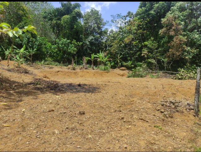 32-Perch Land for Sale in Kahahena, Hanwella