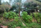 Land for sale Meegoda