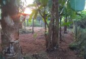Land for sale Meegoda