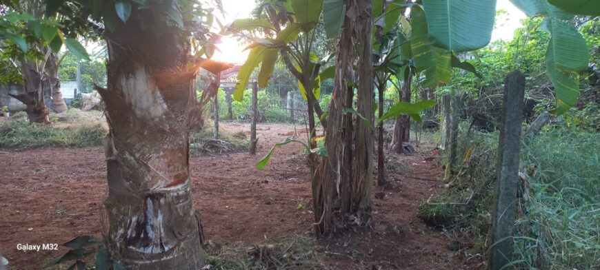 Land for sale Meegoda