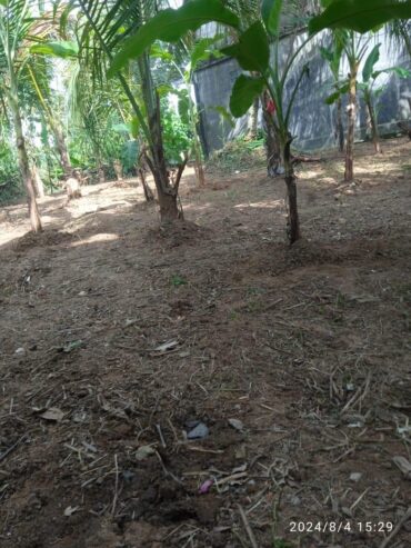 Land for Sale Nittambuwa