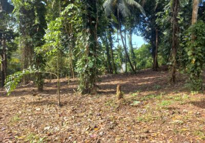 Bare Land for Sale in Kelaniya Bollagala.
