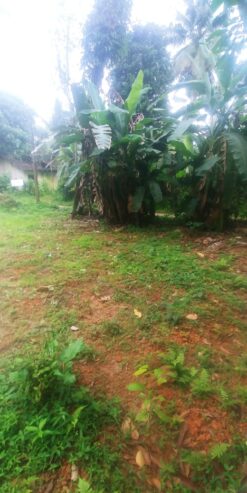 Land for Sale in Mathugama