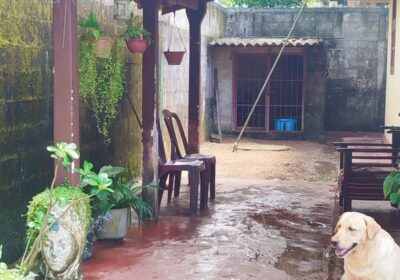 House for Sale Waliweriya