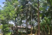 Land For Sale In Galle