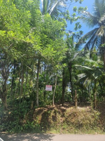 Land For Sale In Galle