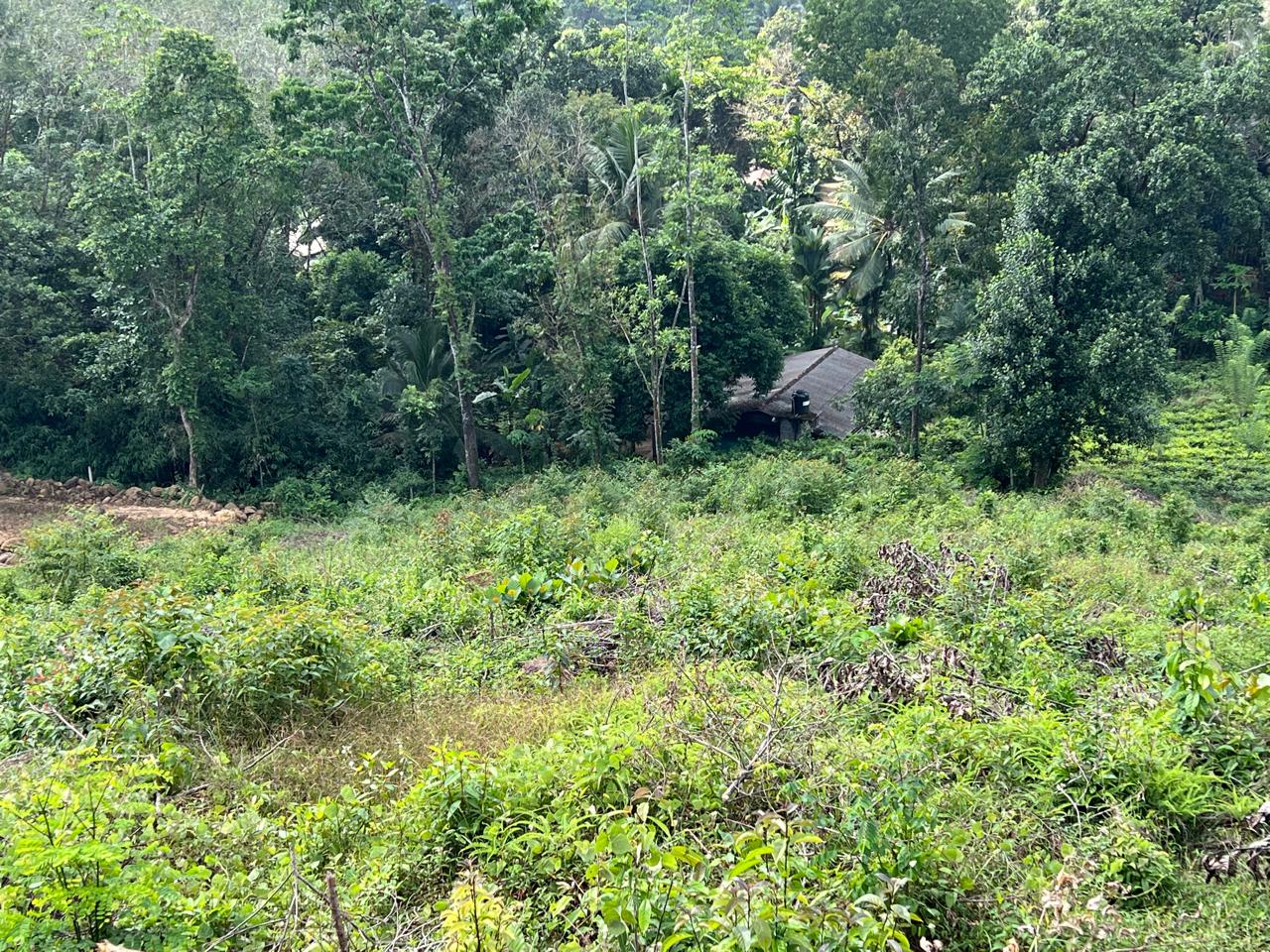 1.5 Acres Land for Sale in Hadapangoda