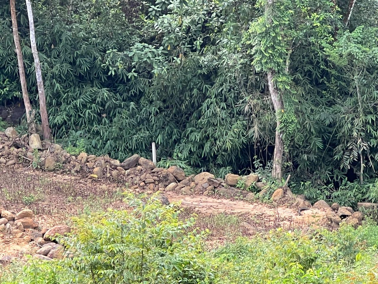 1.5 Acres Land for Sale in Hadapangoda