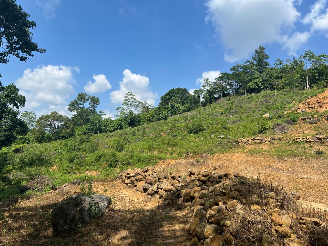 1.5 Acres Land for Sale in Hadapangoda