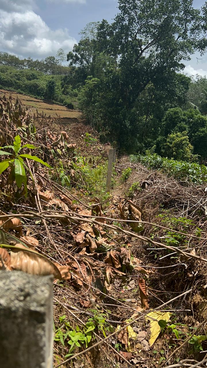 1.5 Acres Land for Sale in Hadapangoda