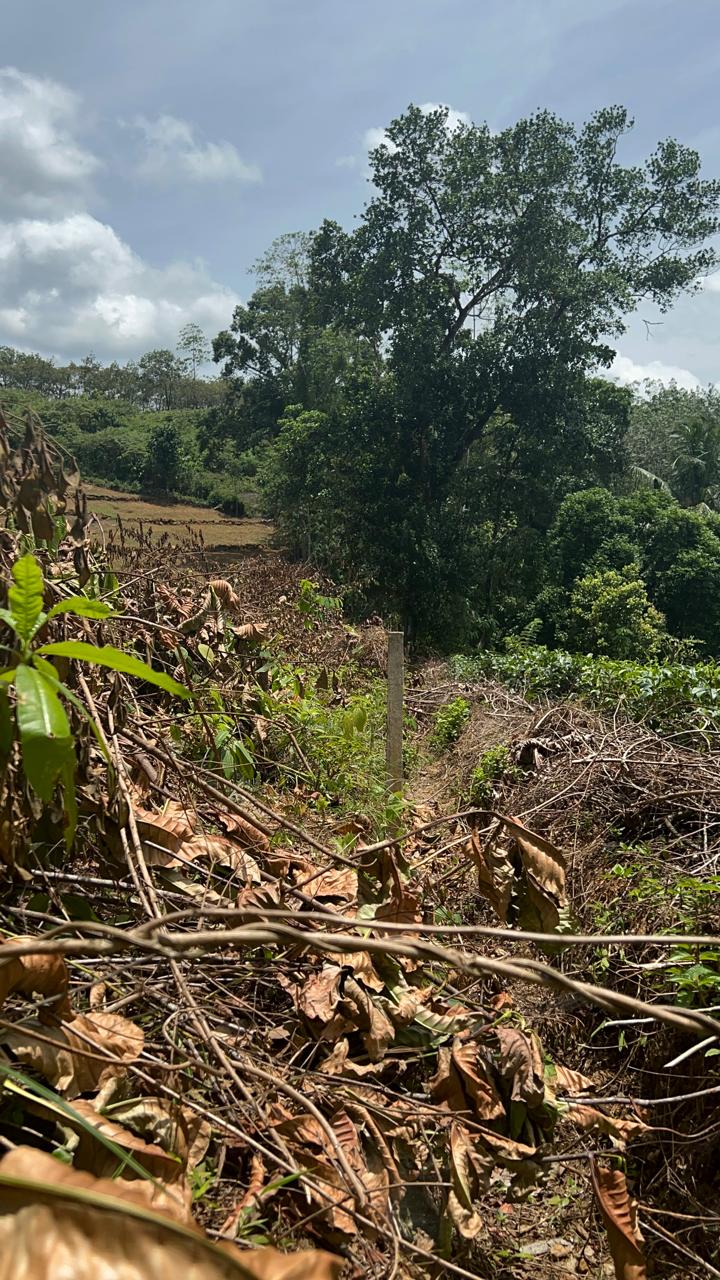 1.5 Acres Land for Sale in Hadapangoda