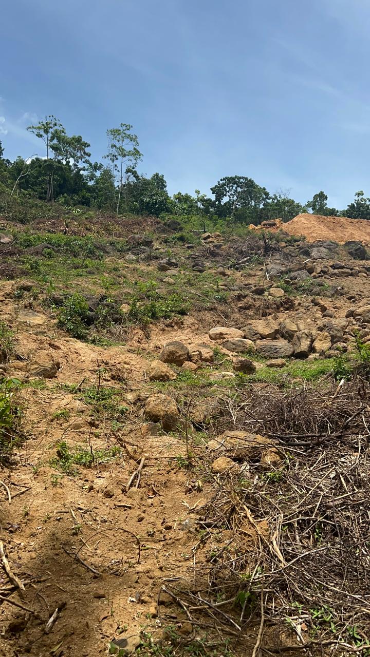 1.5 Acres Land for Sale in Hadapangoda
