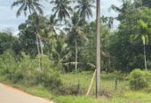 Land for Sale in Horana