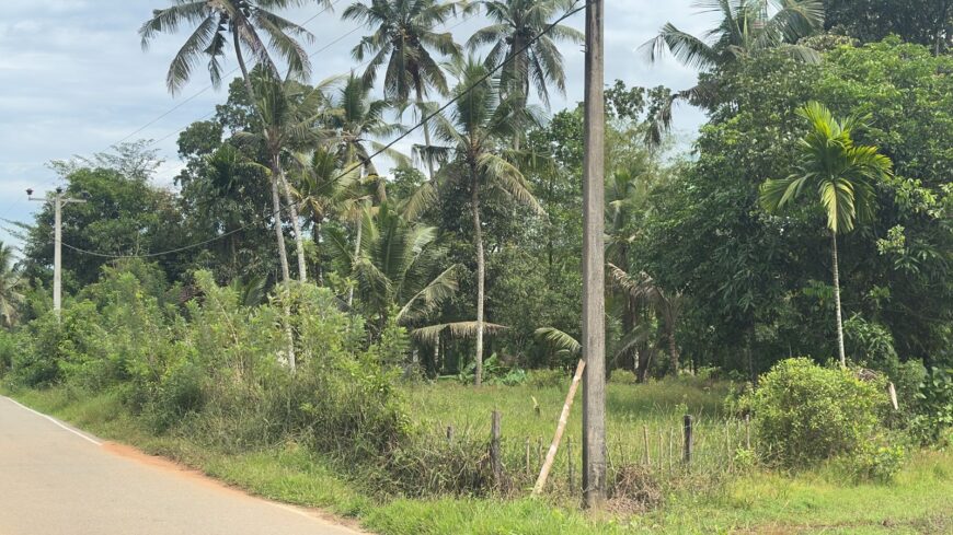 Land for Sale in Horana