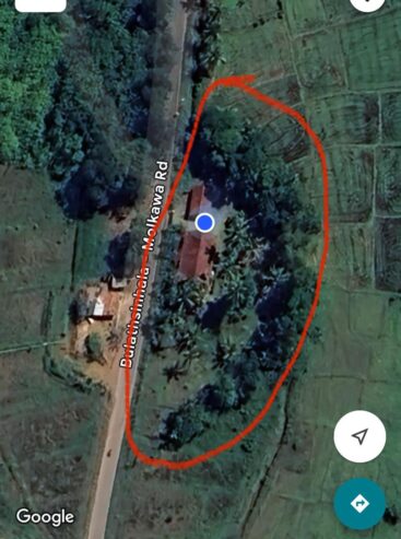 Land for Sale in Horana