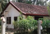Land for Sale in Horana