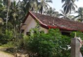 Land for Sale in Horana