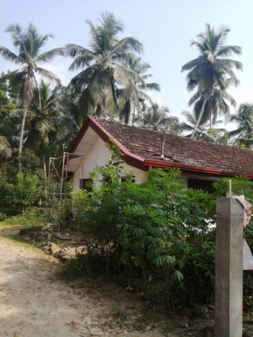 Land for Sale in Horana