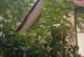 Land for Sale in Horana