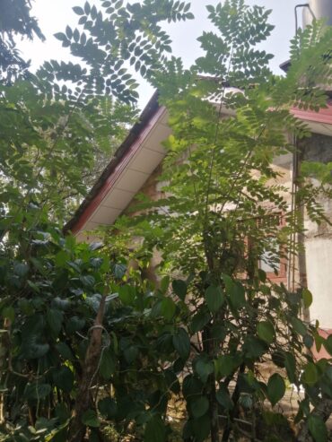Land for Sale in Horana