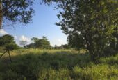 Land for Sale in Habarana