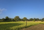 Land for Sale in Habarana