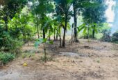 Land for Sale in Ekala Ja Ela