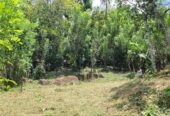 Land For Sale In Matale