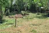 Land For Sale In Matale