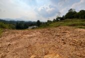 LAND FOR SALE IN EHELIYAGODA