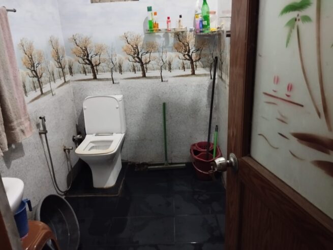 House For Sale In Hanwella