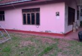 Office Complex and Stores for Rent Matara