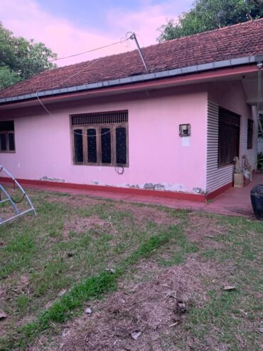 Office Complex and Stores for Rent Matara